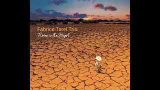 Teaser du nouveau disque du Fabrice Tarel Trio  Flower in the Desert [upl. by Annavoig907]