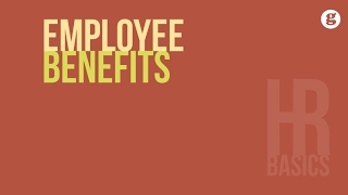 HR Basics Employee Benefits [upl. by Alphonse]