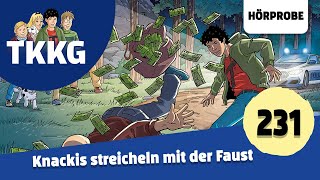 TKKG  Folge 231 Knackis streicheln mit der Faust  Hörprobe zum Hörspiel [upl. by Conte462]