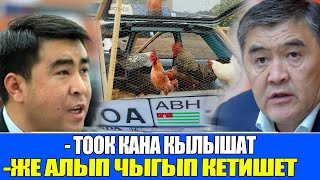 К Ташиев Легалдаштырбай турган АВТОУНААЛАРды тоок кана кылышат же алып чыгып кетишет [upl. by Fancie]