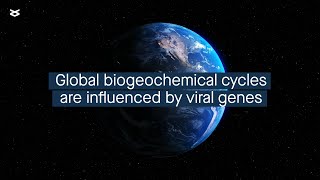 Auxiliary metabolic genes lend insight into the role of viruses in global biogeochemical cycles [upl. by Burt]