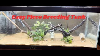 How to Create an EASY Pleco Breeding Aquarium Full HowTo Guide [upl. by Eduardo]