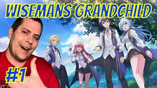 Wisemans Grandchild Episode 1 English Dubbed Reaction [upl. by Enelram285]