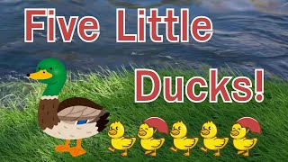 Five Little Ducks by Fun Learning Songs [upl. by Skell508]