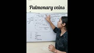 Pulmonary veins l class 10 [upl. by Quenby793]