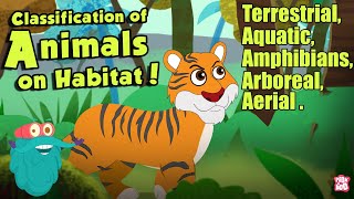 HABITAT OF ANIMALS  Classification Of Animals On Habitat  The Dr Binocs Show  Peekaboo Kidz [upl. by Olva]