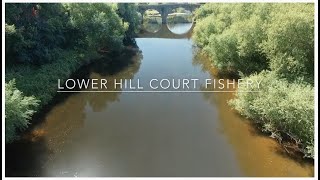 Lower Hill Court Fishery  River Wye  Angling Dreams  Barbel [upl. by Dasteel]