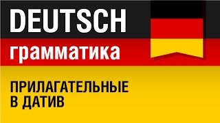 Прилагательные в датив Adjektive im Dativ Немецкая грамматика Урок 1431 Елена Шипилова [upl. by Nemracledairam]