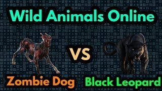 Wild Animals Online  Black Leopard Pack vs Zombie Dog [upl. by Lladnar735]