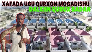 XAFADA UGU QURXON MOGADISHU DALXIIS QURUX BADAN [upl. by Cinimod]