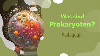 Was sind Prokaryoten  Aufbau  Beispiele  Zellwand  Größe  Mitochondrien  DNA  Funktion [upl. by Lenoil145]