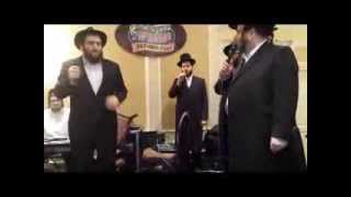 Boruch Sholom Blesofsky Sings at Williamsburg Wedding [upl. by Hakaber]