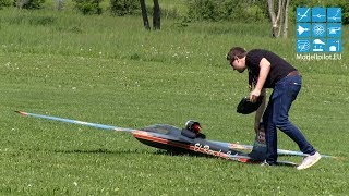 PULS PARITECH RC IMPELLER AEROBATIC FLIGHT ALEXANDER SCHIEGG MULTIPLEX AIRSHOW BRUCHSAL 2017 [upl. by Syverson122]