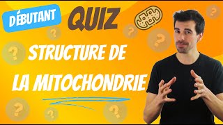 QUIZ mitochondrie Débutant [upl. by Nylinej]