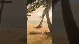 Heavy Windy  Canareef Resort Maldives [upl. by Eekcaj]