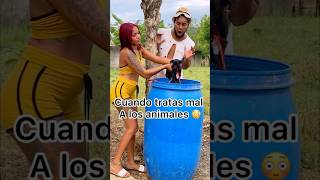 Cuando Tratas Mar a los Animales 😱🤣😥😡 Dios viral comedy comedia video humor [upl. by Heilner]