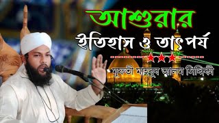 আশুরার ইতিহাস নিয়ে তথ্য বহুল আলোচনা  Mufti Mahbub Alam Siddiki  আশুরার ইতিহাস  ১০মহররম new waz [upl. by Ulland]