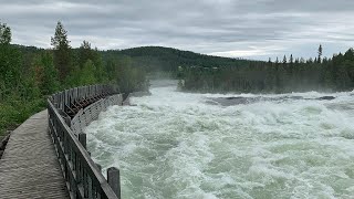 Storforsen Sveriges största fors  Norrbotten Sweden [upl. by Iliram120]