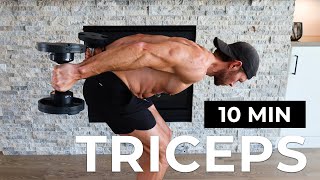 10 Minute Tricep Workout at Home with Dumbbells amp Bodyweight [upl. by Yelnoc]