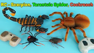 Scorpion Tarantula Spider And Crawling Cockroach  Remote Control RC  Unboxing amp Review [upl. by Dlared]