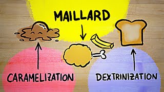 I FINALLY understand the Maillard reaction [upl. by Dara]