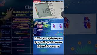 Difference Between Systolic amp Diastolic Blood Pressure  Class 10  Life Process [upl. by Llehcal]