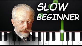 Tchaikovsky  Swan Lake  SLOW BEGINNER Piano Tutorial [upl. by Aihtnis]