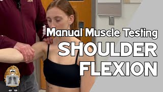 MMT Shoulder Flexion Manual Muscle Test [upl. by Airbmak]