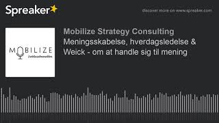 Meningsskabelse hverdagsledelse amp Weick  om at handle sig til mening [upl. by Sirhc760]