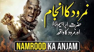 Namrood aur Machar ka waqia  Namrood ki maut kaise hui  Namrood ka Anjam  Prophet Stories [upl. by Yahc]