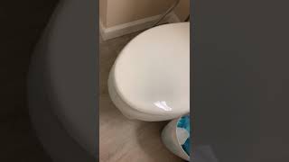 Toilet making weird noise [upl. by Jervis]