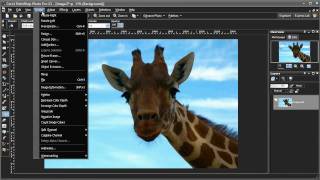 PaintShop Photo Pro X3 New Features Highlights [upl. by Luben632]