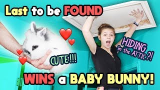 Last to Be Found WINS CUTE BABY BUNNY Tannerites Hide and Seek Game [upl. by Nogras]