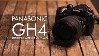 GH4 VLog Comparison T2i amp NEX6 [upl. by Ellezig]