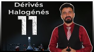 Episode 11  Les dérivés halogénés Chimie Organique II  Hydrocarbures  Prof Feynbert BCG SMC MIPC [upl. by Paterson]