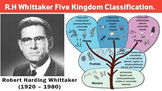 RH Whittaker Five Kingdom Classification FY Bsc Biotechnology Gujarat University kingdoms [upl. by Isis]