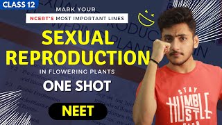 Sexual Reproduction In Flowering Plants Class 12  One Shot  NEET  Mark Your NCERT [upl. by Eintruoc]