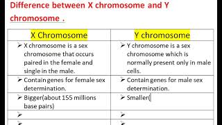 Difference between X chromosome and Y chromosome [upl. by Atiner]