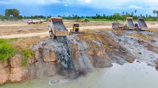 Excellent Dozers D60P push dirt using several dump trucks Provides Lake Rock Filling [upl. by Ecneps]