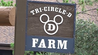 Magic Kingdom and TriCircle D Ranch [upl. by Amar611]