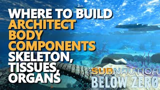 Where to build Architect Body Components Skeleton Tissues Organs Subnautica Below Zero [upl. by Aleda963]