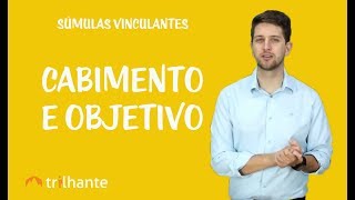 Súmulas Vinculantes  Cabimento e Objetivo [upl. by Shepp]