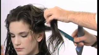 Dare Chisel Medium Length Hair Cut HowTo Video [upl. by Ivens372]