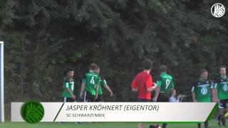 SC Schwarzenbek  Meiendorfer SV 2 Runde ODDSETPokal  Spielszenen  ELBKICKTV [upl. by Ambler720]