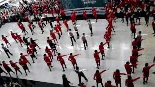 Cathay Pacific CX Christmas Xmas Flash Mob Dance 2013 at HKIA [upl. by Suoivatram]