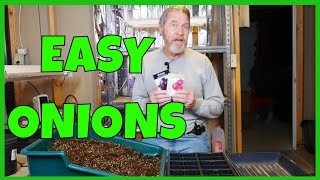 Do This to Start Onion Seeds Indoors [upl. by Cynthy]