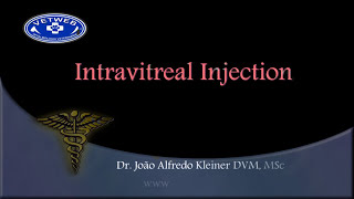 Intravitreal injections in dogs [upl. by Barri]