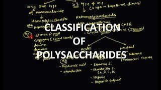 16 Polysaccharides  Classification [upl. by Luy]