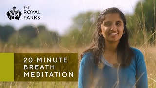 Serenity Unveiled A 20Minute Breath Meditation Journey with The Royal Parks [upl. by Asserrac]