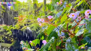 Gardens By the Bay Cloud Forest Highlights [upl. by Bohi]